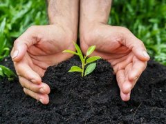 農業種植離不開土壤養分快速檢測儀